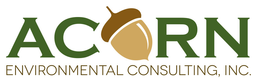 Acorn Logo