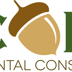 Acorn Logo